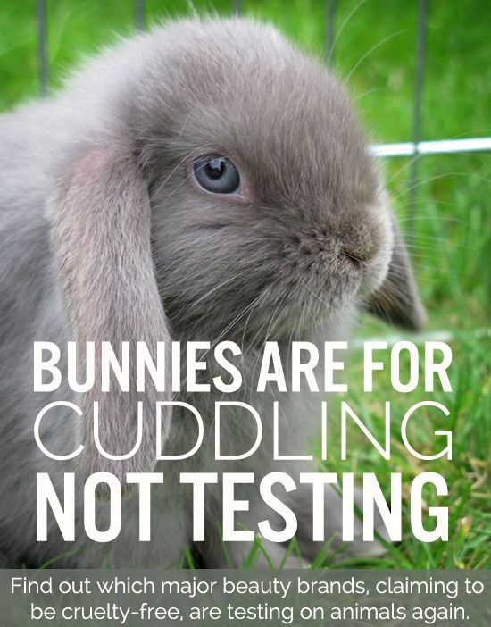 no animal testing l'oreal Sharing beauty with all